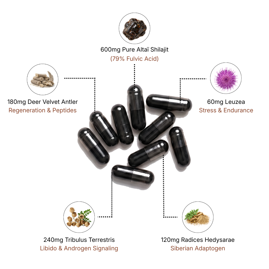 Altaï Testosterone Booster