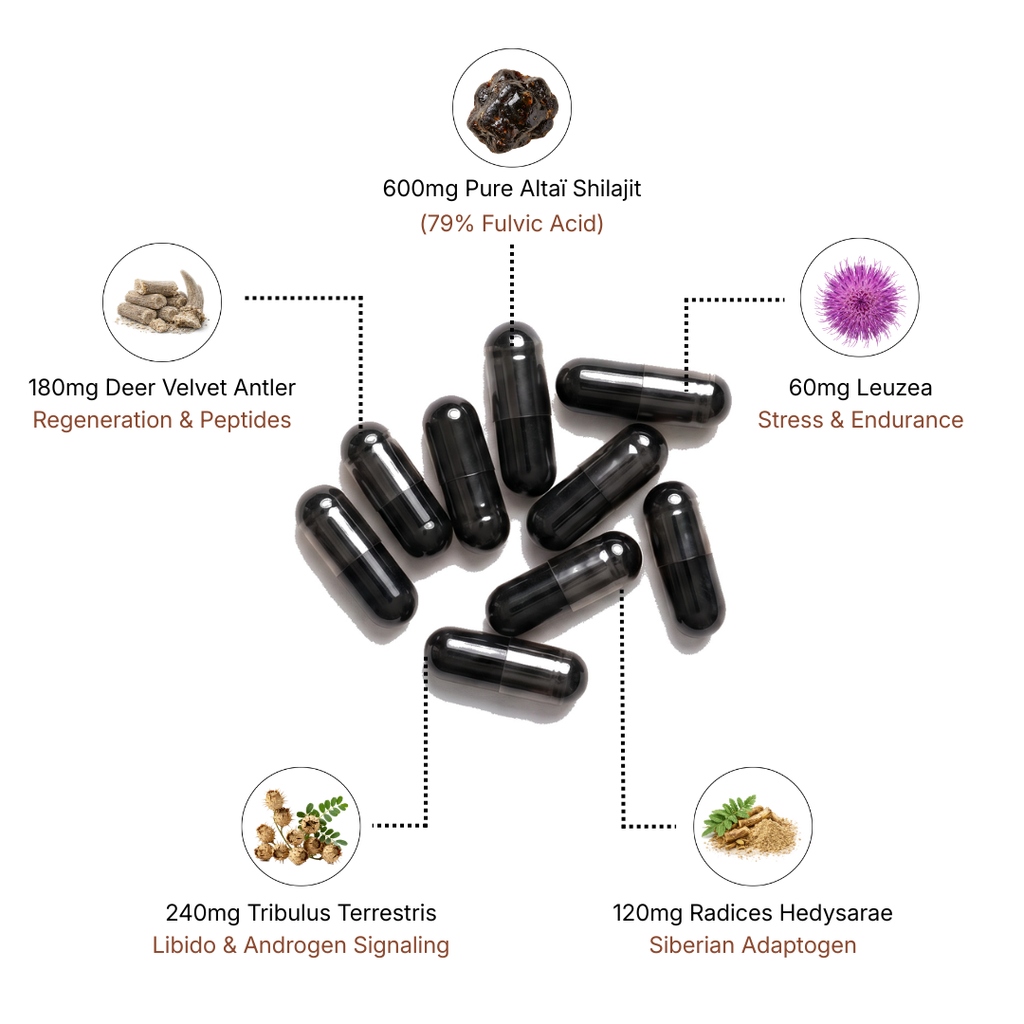 Altaï Testosterone Booster