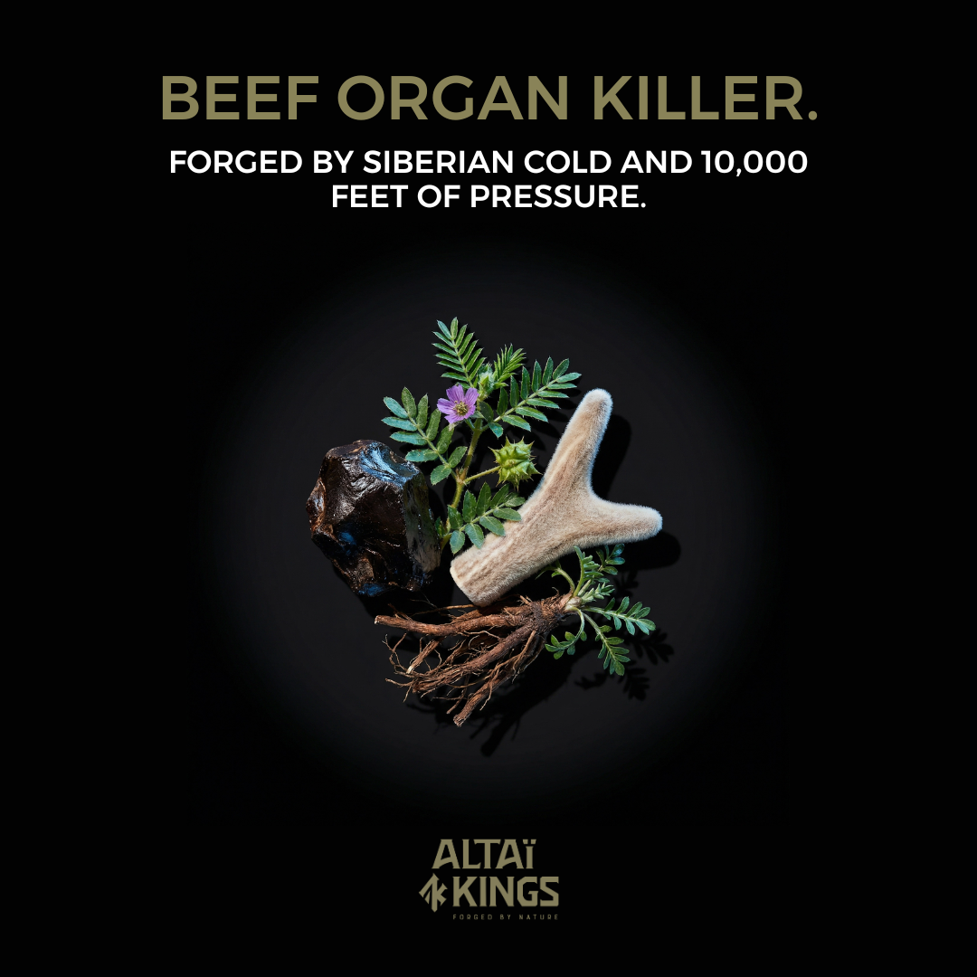 Altaï Testosterone Booster